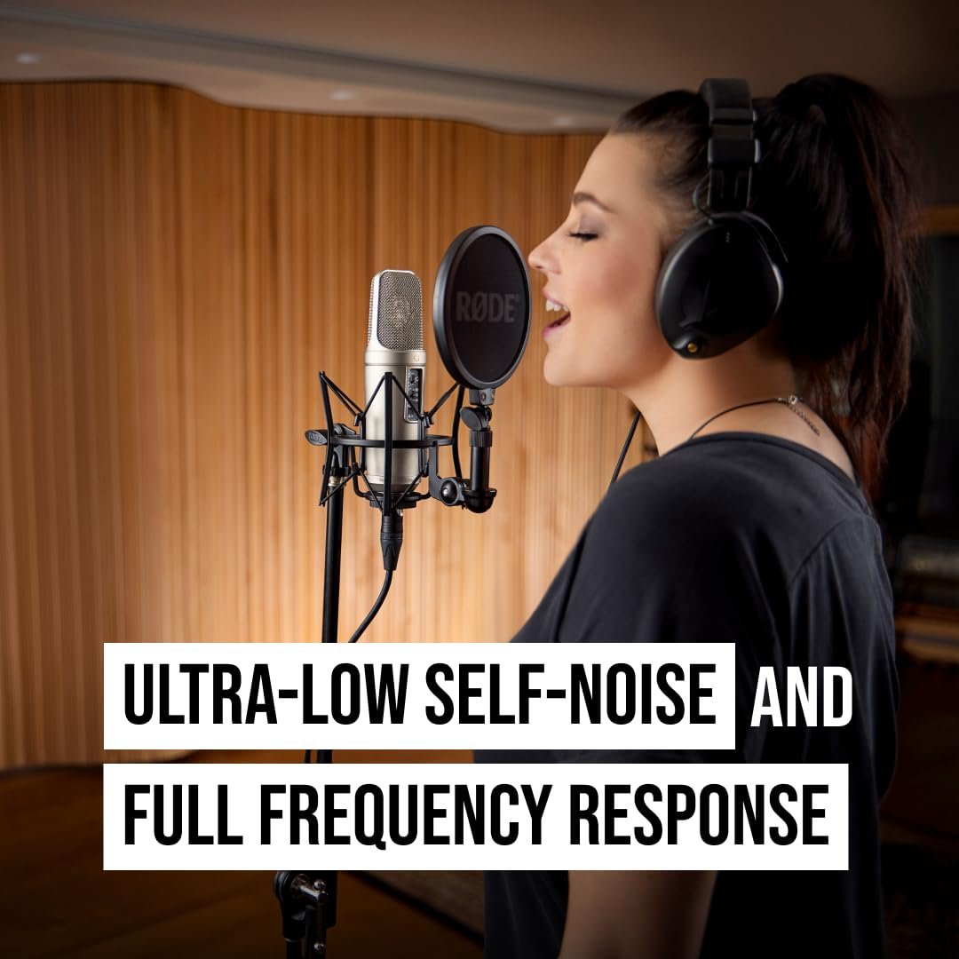 Rode Nt 2A Microphone - XLR - Image 5